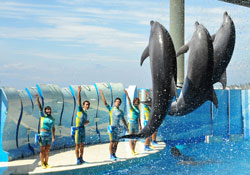 新江ノ島水族館