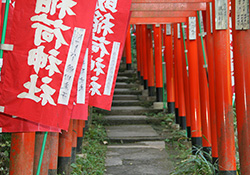 佐助稲荷神社