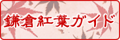 紅葉ガイド